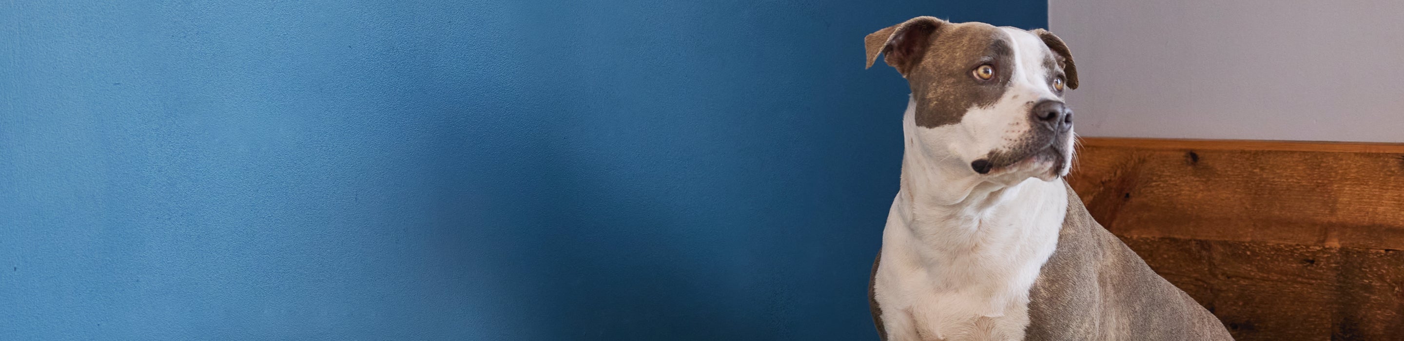 Test Collection Avocado Green Mattress