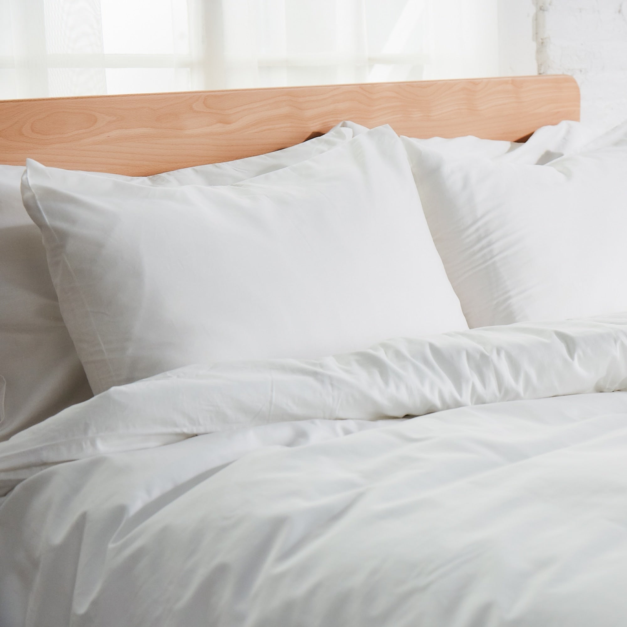 Percale Organic Cotton Shams 270TC - Standard