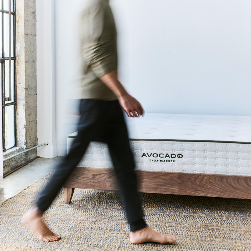 City Bed Frame by Avocado - Walnut