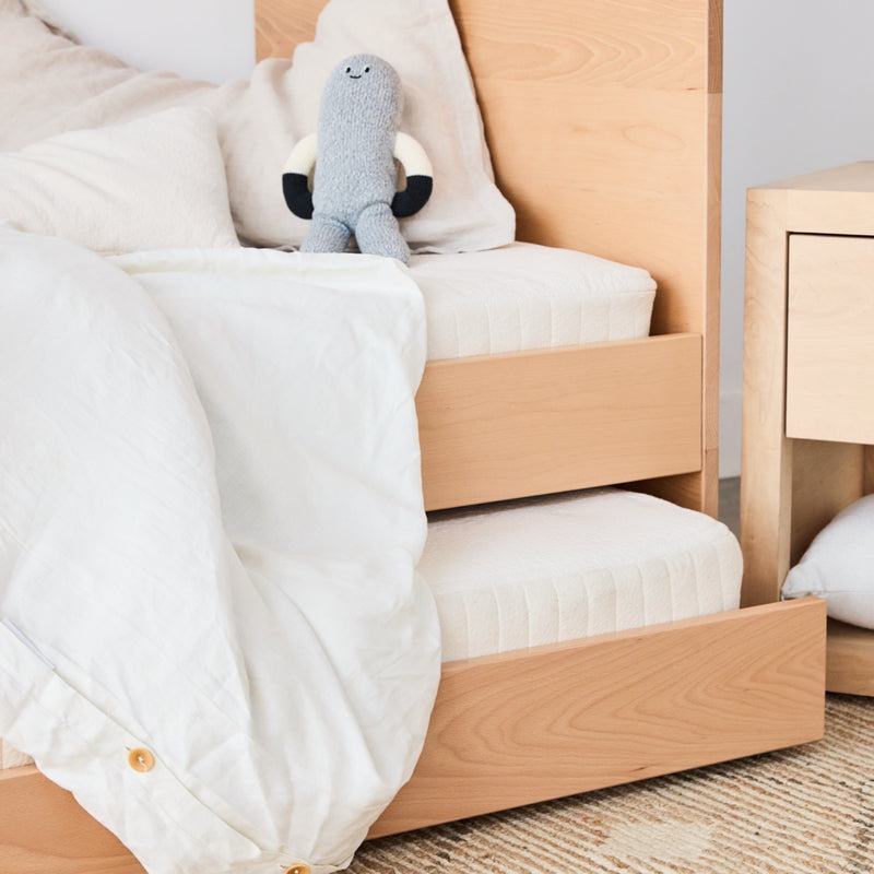 Trundle Bed Frame for Kids Bedroom Avocado Green Mattress