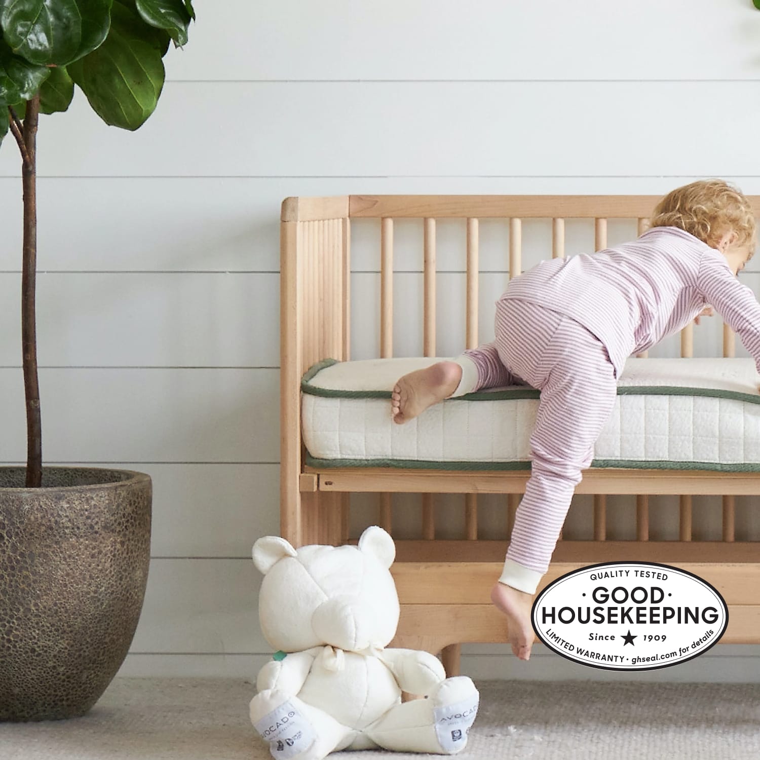 Organic Crib Mattress Organic Crib Mattress