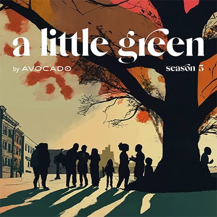 Avocado Green Mattress