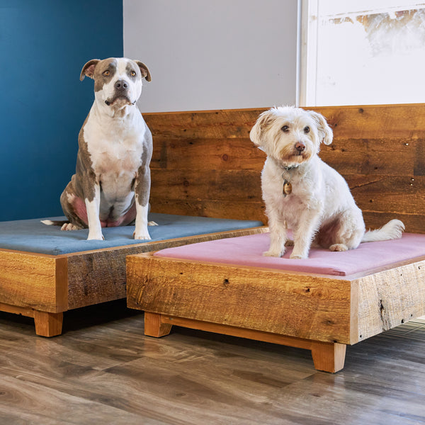 Customizable Raised Wooden Dog Bed Mid Century Modern 