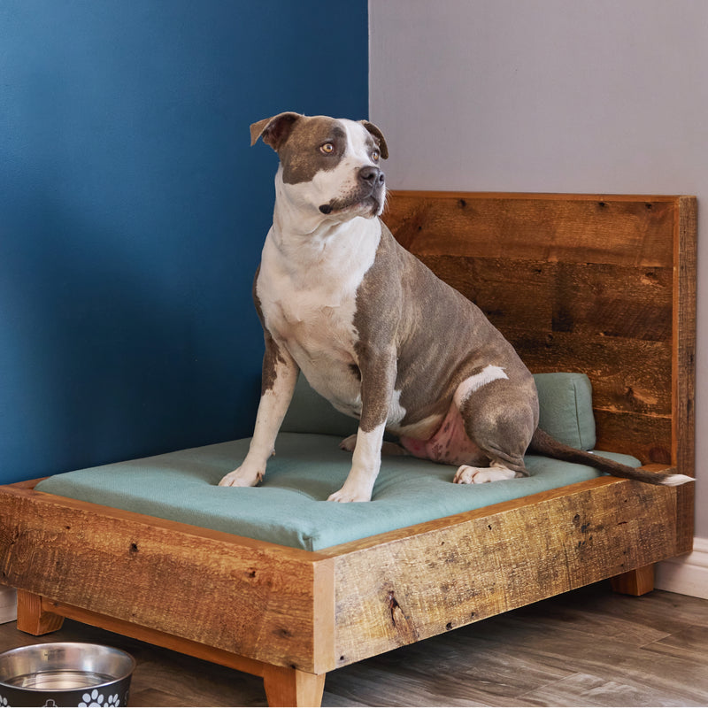 Dog Bed Frame Avocado Green Mattress® - Main Image