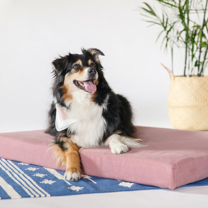 Orthopedic Dog Beds made in Los Angeles, USA