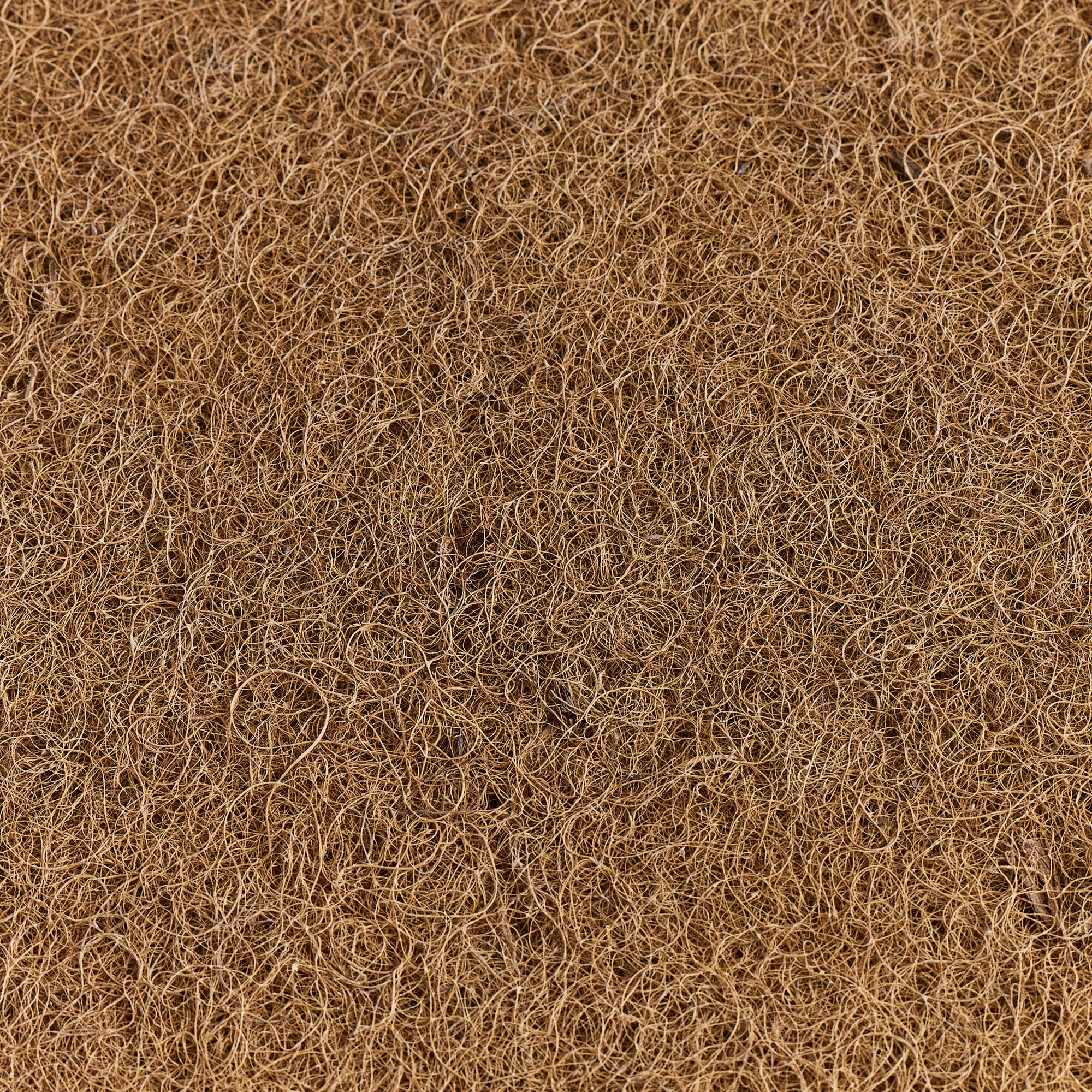 Coconut Coir Mattress Pad Avocado Green Mattress